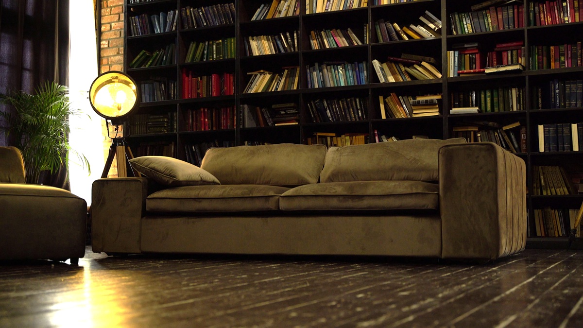 Warm home library with shelves of books representing advanced study of nonverbal communication and body language.
